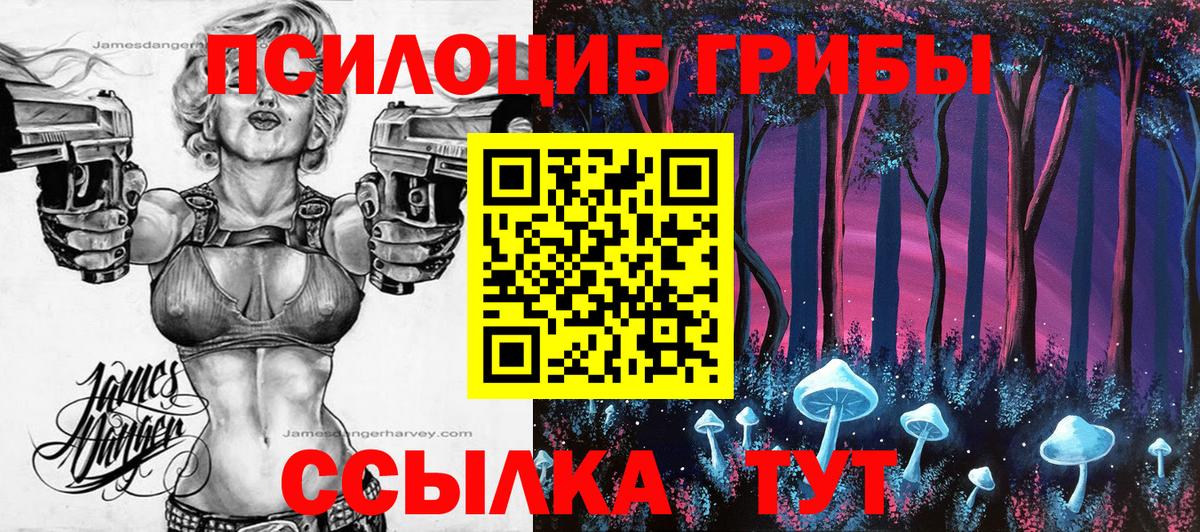 Назрань  Галлюциногенные грибы GOLDEN TEACHER  Вход с VPN 