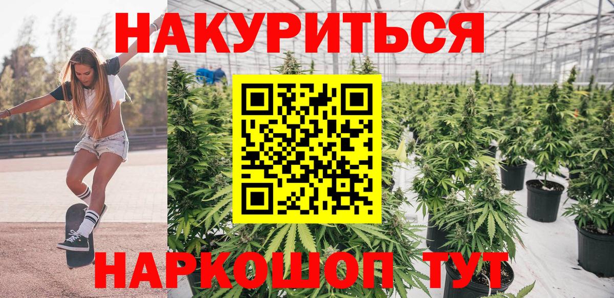 МАРИХУАНА ГИДРОПОН Назрань